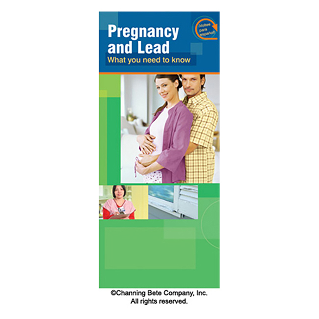 Pregnancy And Lead - What You Need To Know